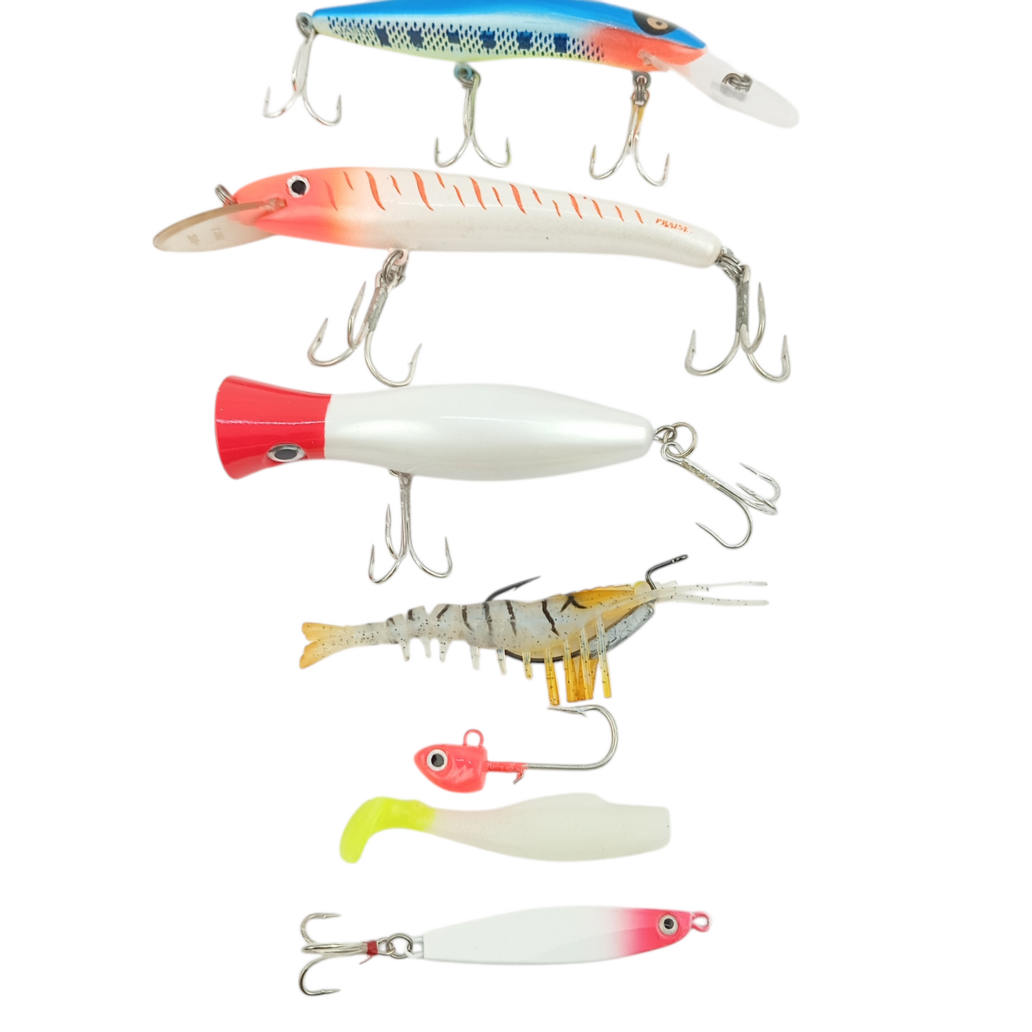 Beginner Saltwater Fishing Lures Combo - 999 Rupees