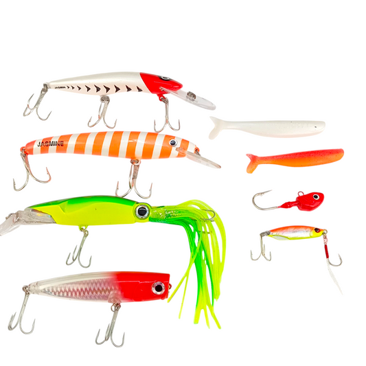 Beginner Saltwater Fishing Lures Combo - 989 Rupees