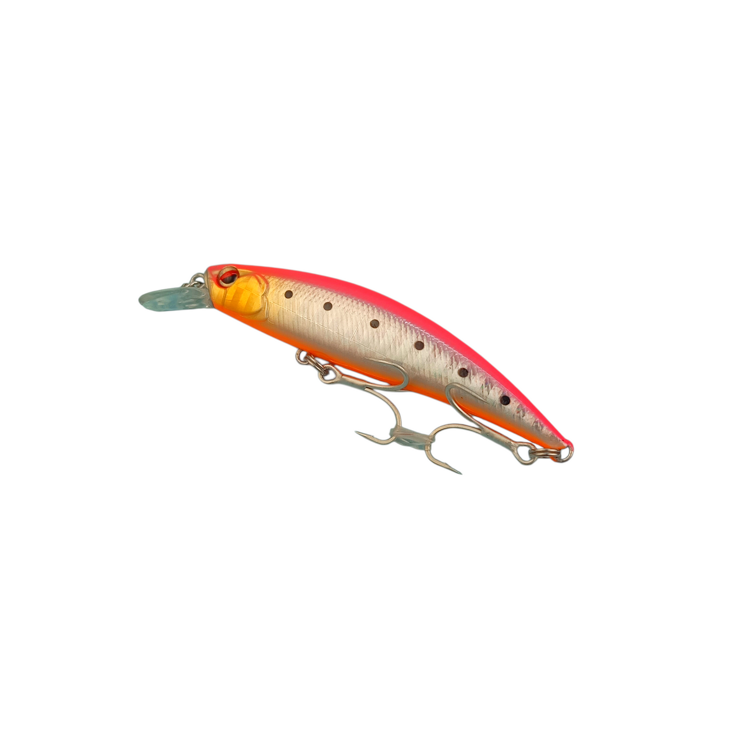 Littma Rong 70S 70MM 9GM Fishing Lure
