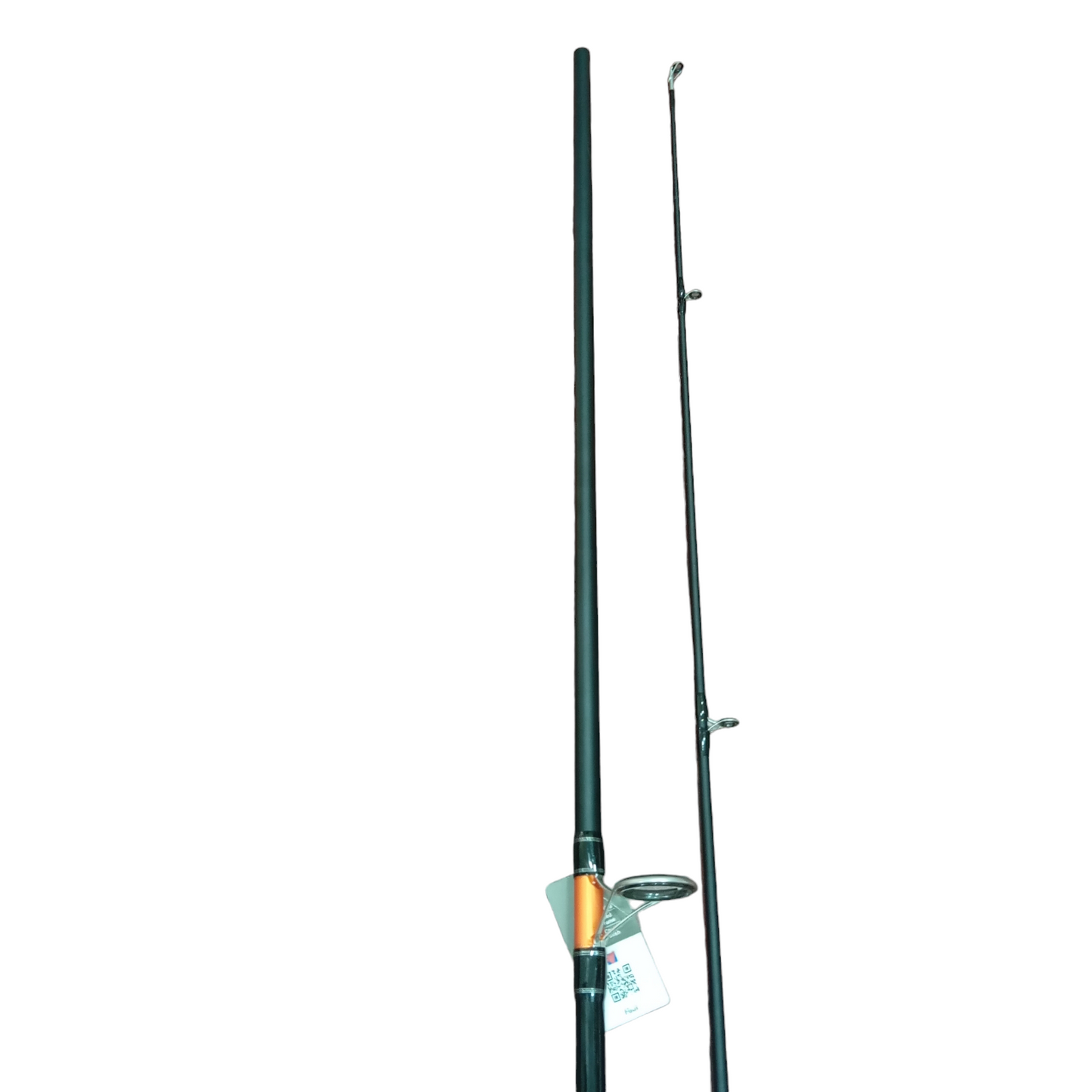 Best Shore Fishing Jigging Combo| Mitchell Fluid 9ft Rod |Shimano Sedona C5000XG