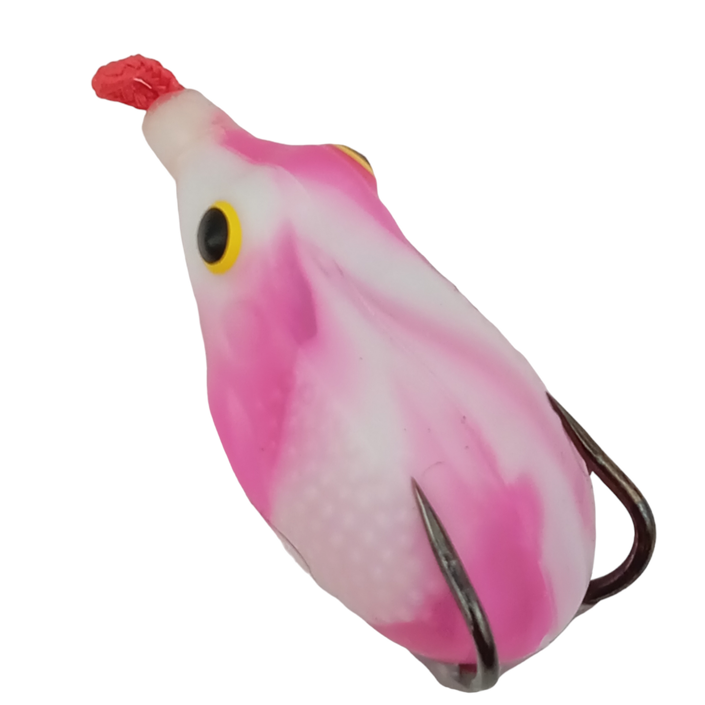 Beginner Lite Weight Premium Fresh Water Fishing Combo