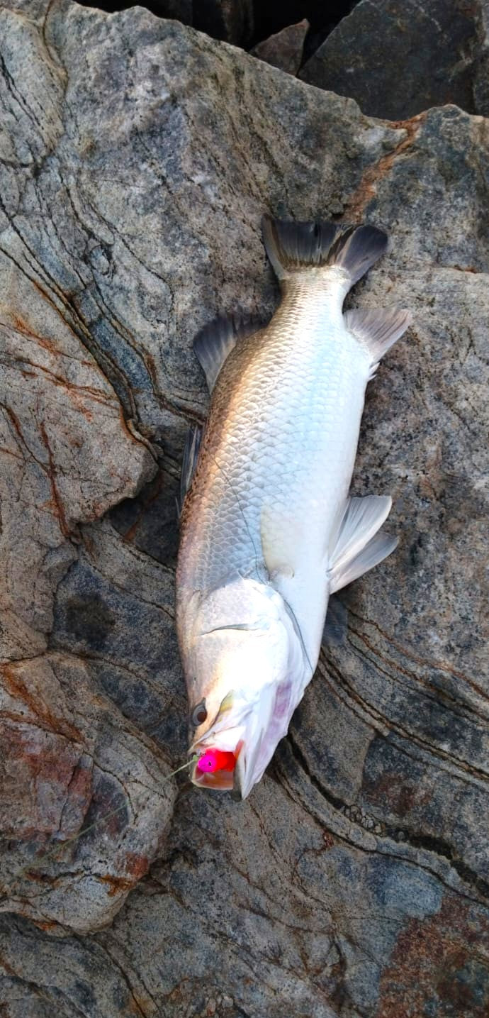 Murrvy FeenZ105 -4inch |8gms| Soft Lures
