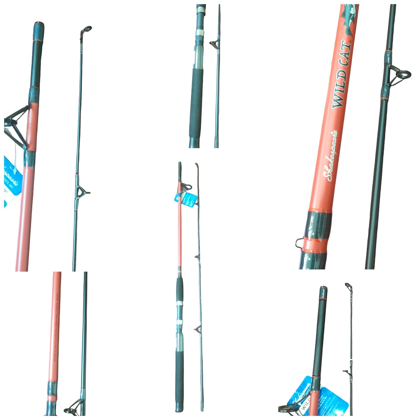 Freshwater And Saltwater Budget Friendly Beginner Fishing Combo