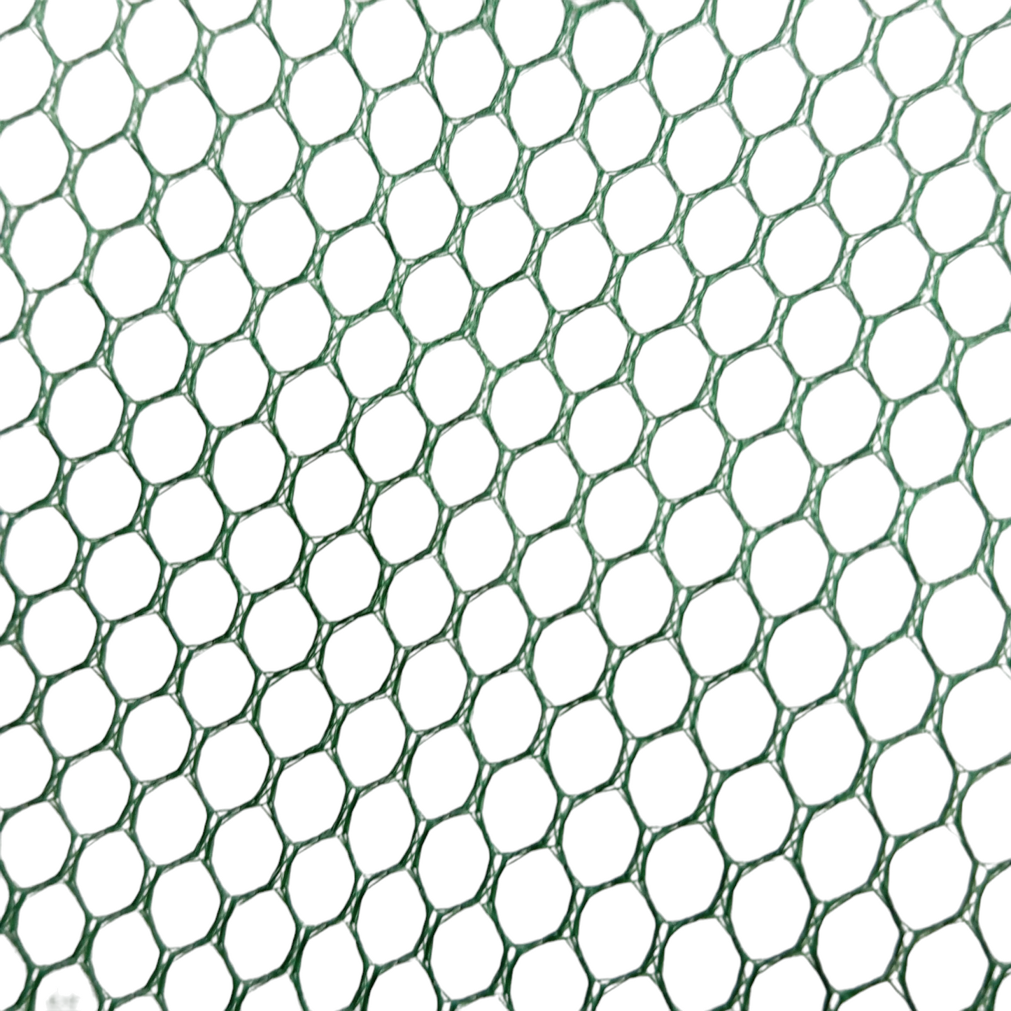 Shrimp Net -8 Holes -Ideal Trap to Catch Bait Fishes