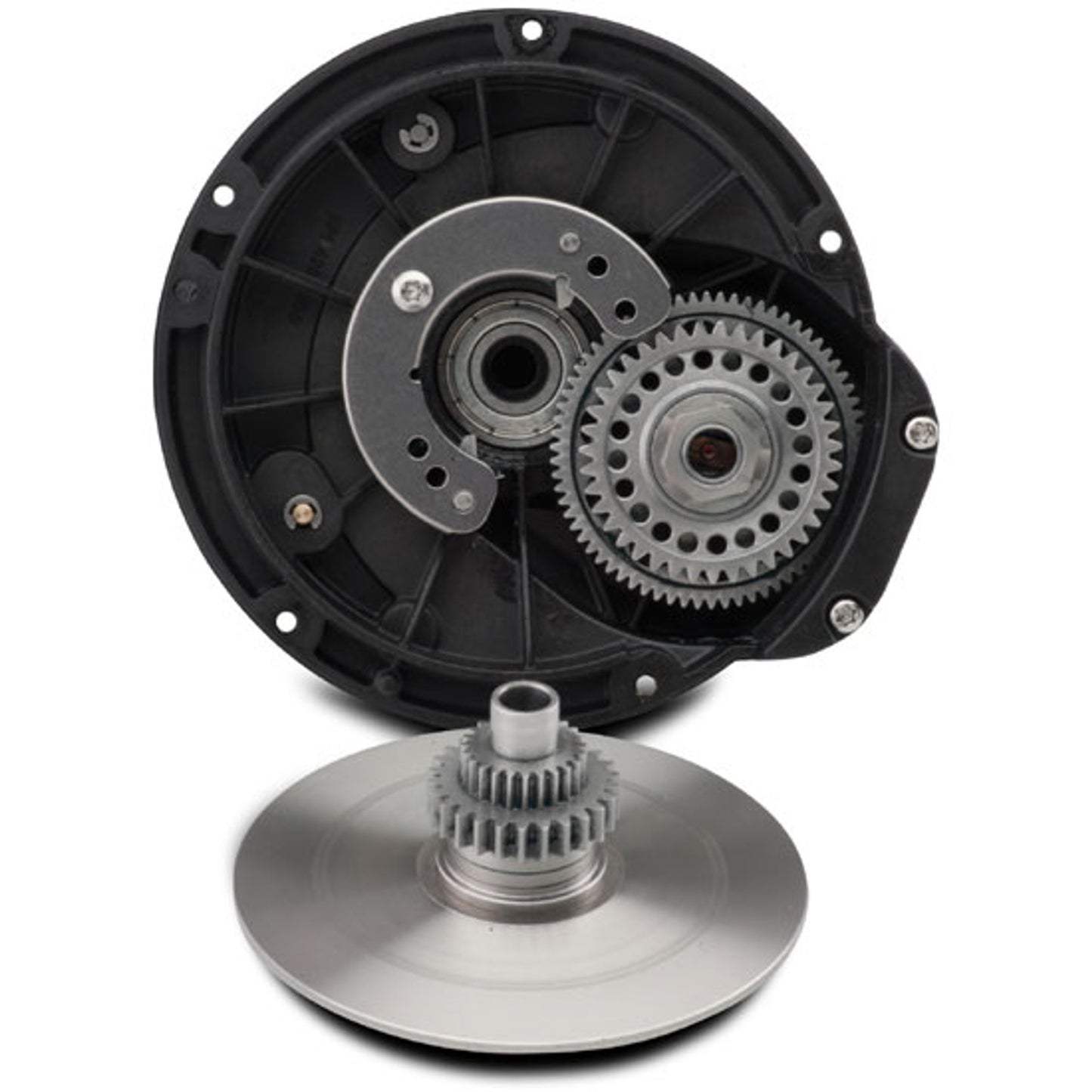Penn Squall Conventional Reels | SQL30,SQL50