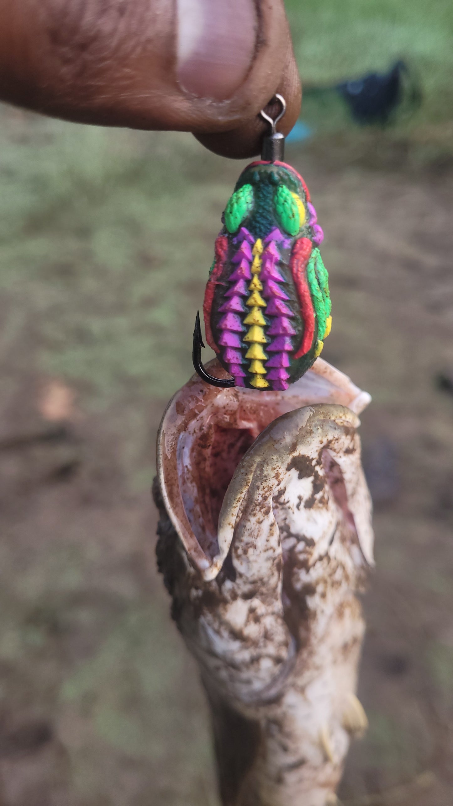 Lures Factory Thailand Made Bufo Frog Combo