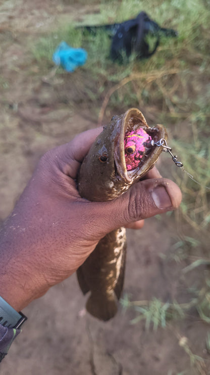 Lures Factory Thailand Made Bufo Frog Combo