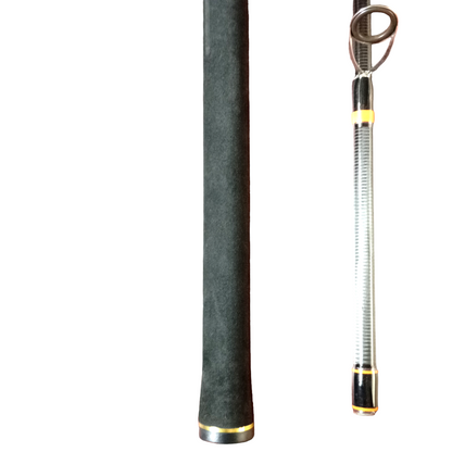 Light Weight Longcasting Saltwater GT Combo