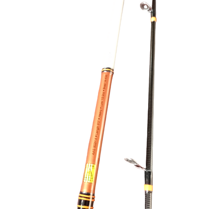 Light Weight Longcasting Saltwater GT Combo
