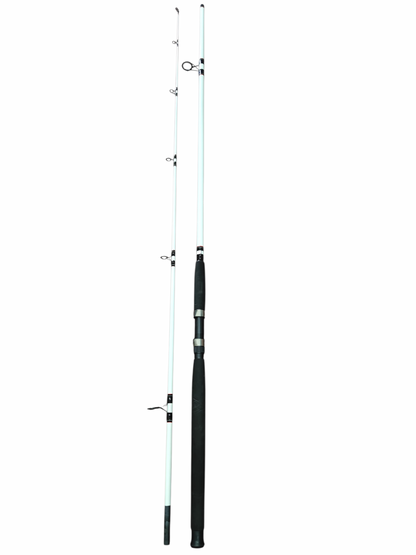 Berkley Big Game 11 FtSpinning Fishing Rod