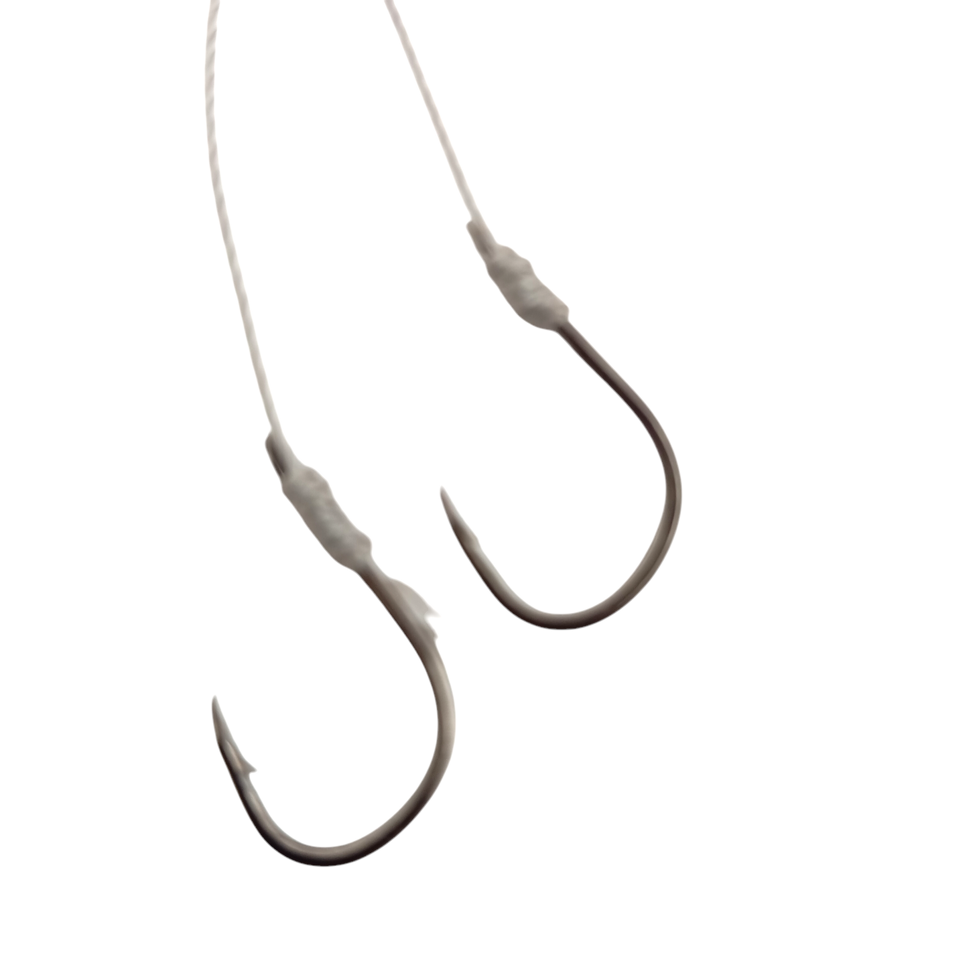 Carp Fishing Hook Rig