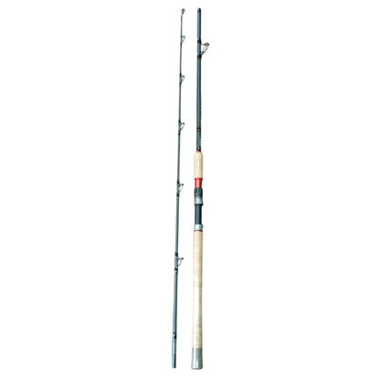 Premium Snakehead  Fishing Rod & Reel Combo