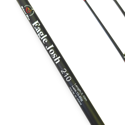 Double Tip Rod & Reel Combo For Snakehead