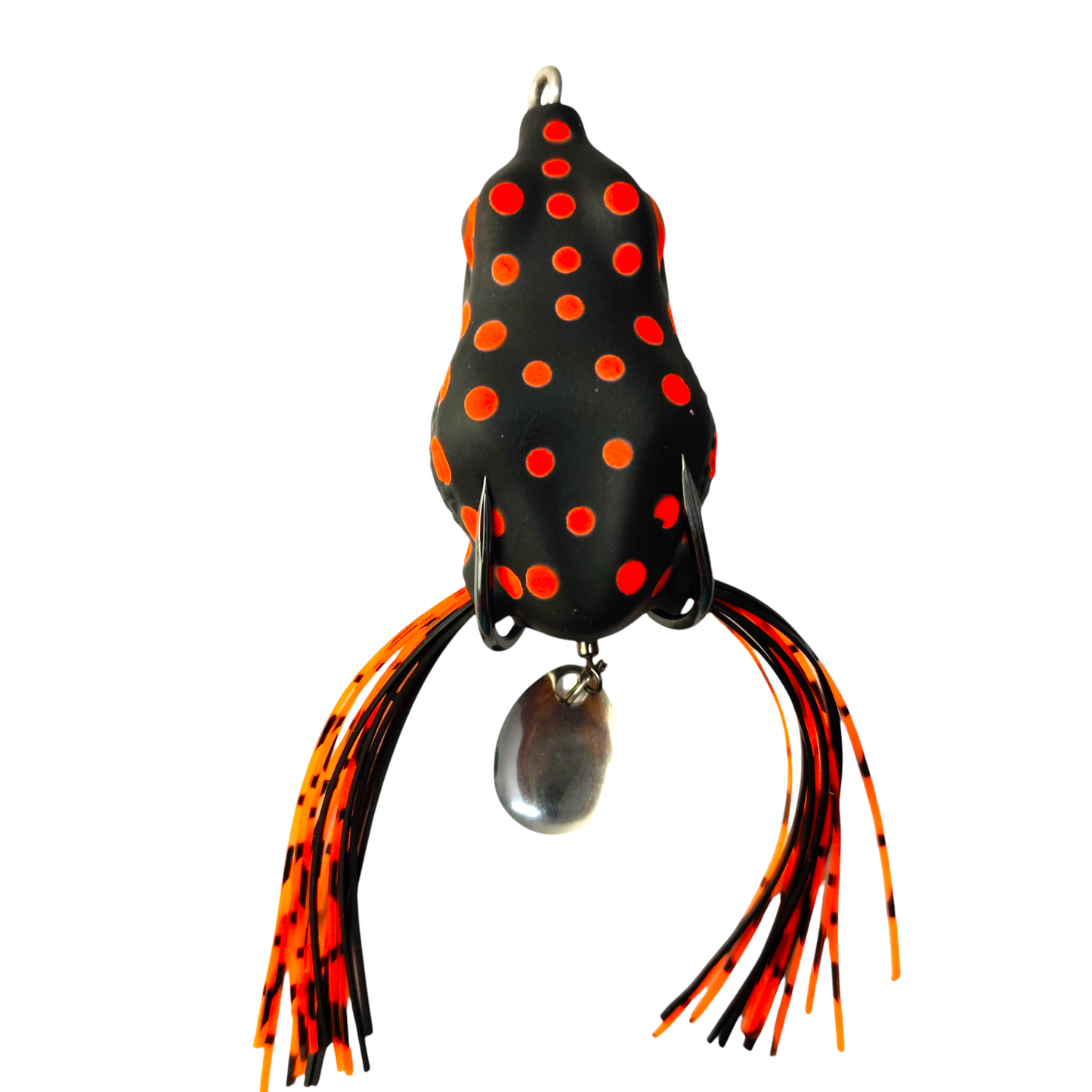 Freshwater And Saltwater Budget Friendly Fishing Combo