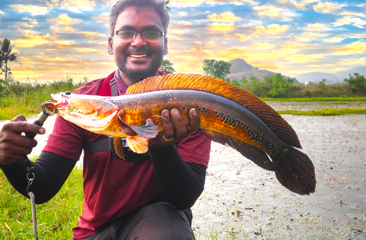 Fish With Hanish Tackles Online Store of Youtuber Fish With Hanish