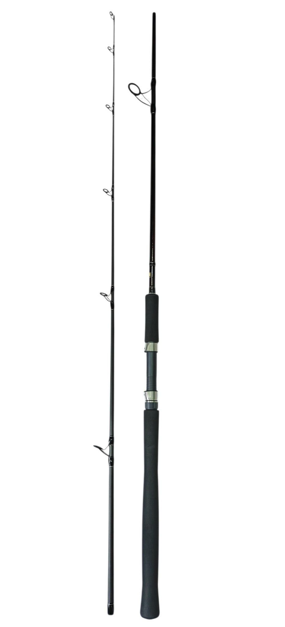 Affortable Light weight Beginner Friendly Saltwater Combo 3717