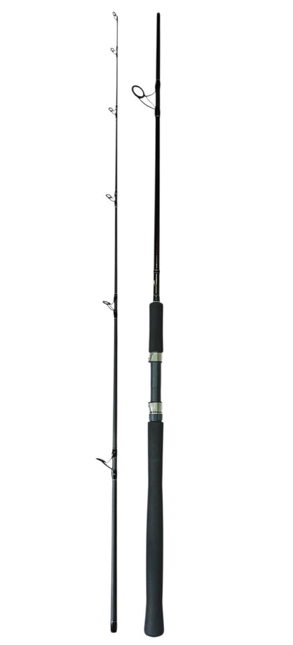 Affortable Light weight Beginner Friendly Saltwater Combo 3717