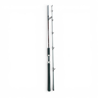 Master 8ft Spinning Fishing Rod
