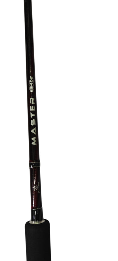 Affortable Light weight Beginner Friendly Saltwater Combo 3717