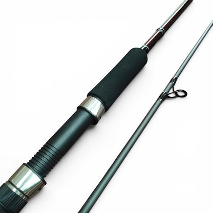 Master 8ft Spinning Fishing Rod