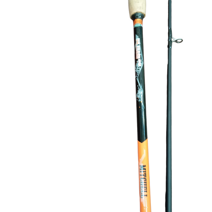 Best Shore Fishing  Jigging Combo| Mitchell Fluid 9ft Rod |Shimano Sedona C5000XG