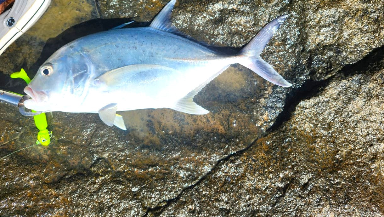 Murrvy FeenZ105 -4inch |8gms| Soft Lures