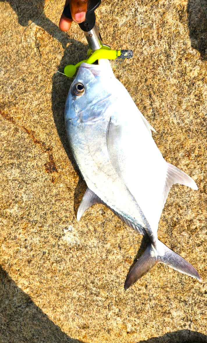 Murrvy FeenZ105 -4inch |8gms| Soft Lures