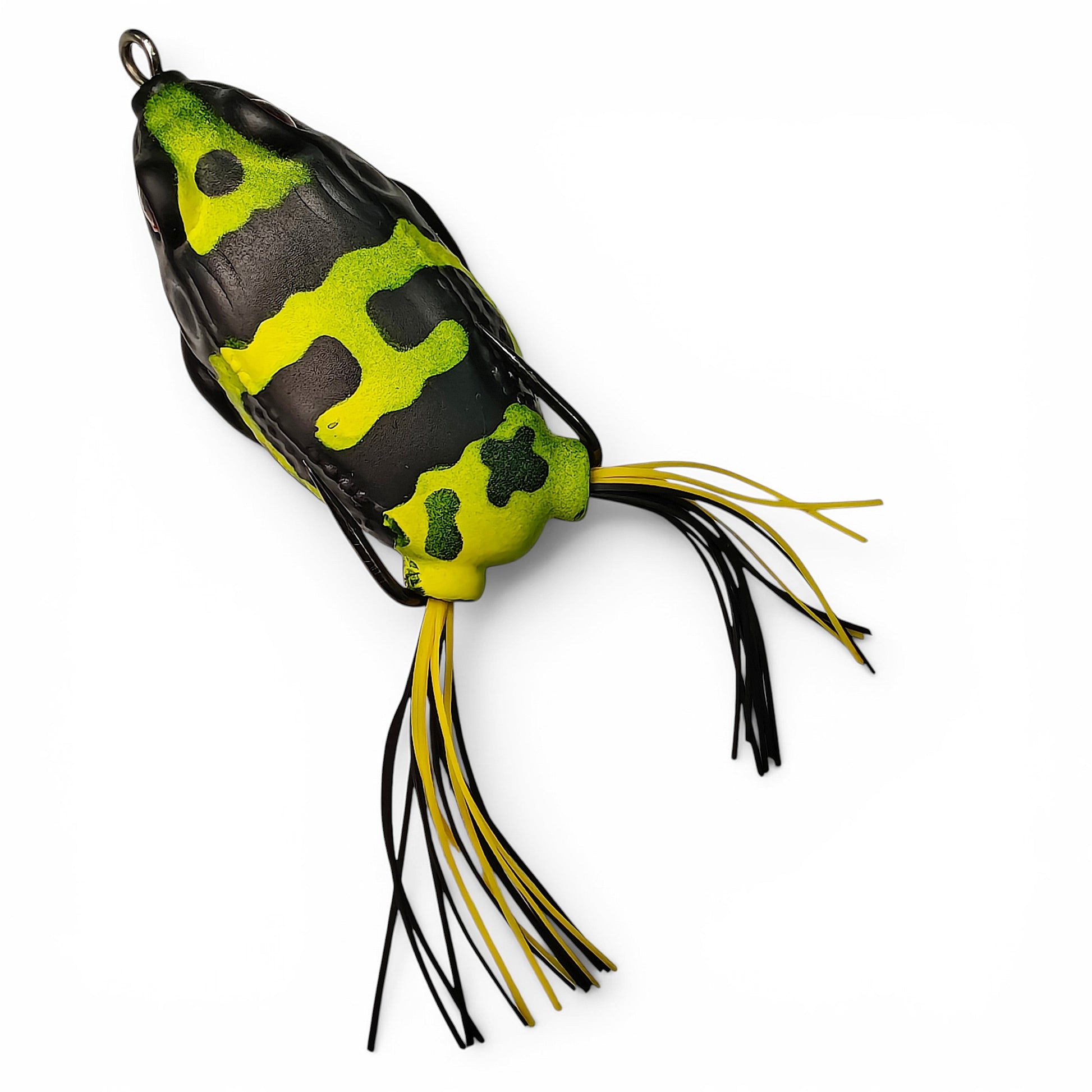 No Questions To Be Asked Spinning Beginner Fishing Combo