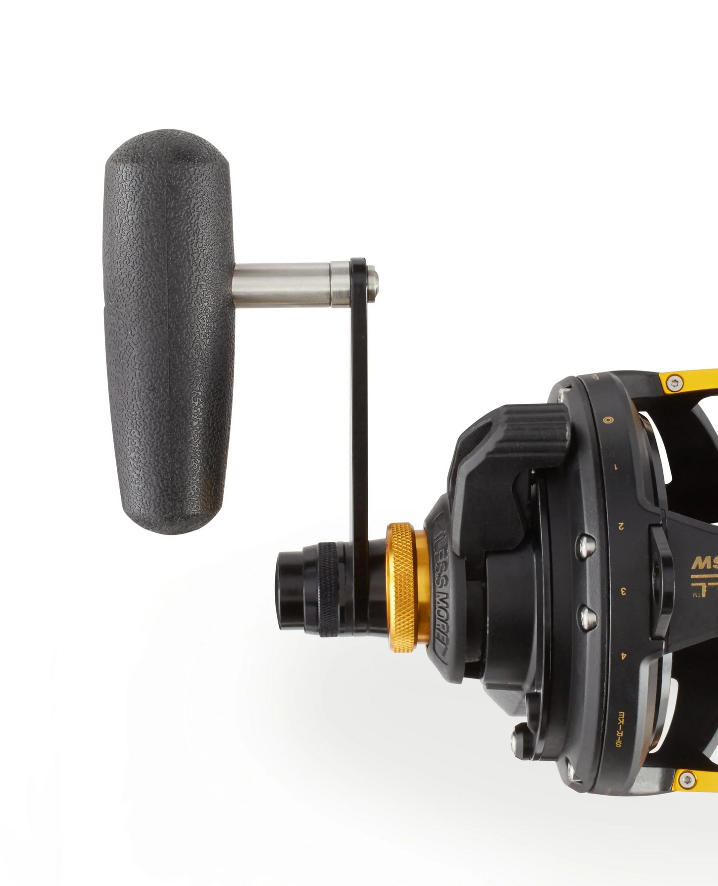 Penn Squall Conventional Reels | SQL30,SQL50