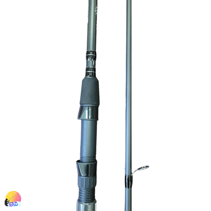 Shore Jigging & Light Shore Fishing Rod & Reel Combo With Braid