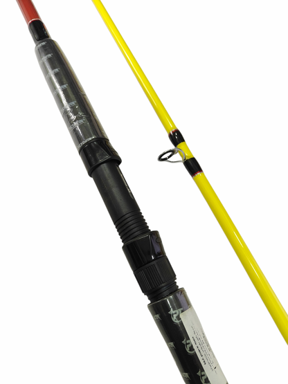 Pioneer  Longcasting Begineer Friendly Salt water Combo 3666