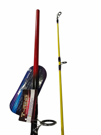 Pioneer  Longcasting Begineer Friendly Salt water Combo 3666