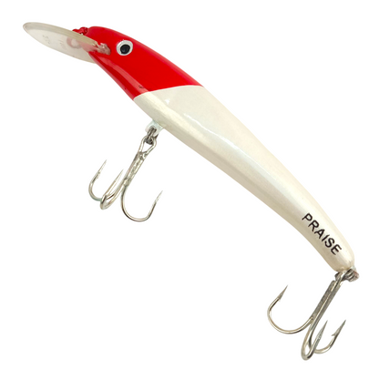 Praise Fishing Hard Lures| 37gms |160mm