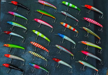 Praise Fishing Hard Lures| 37gms |160mm