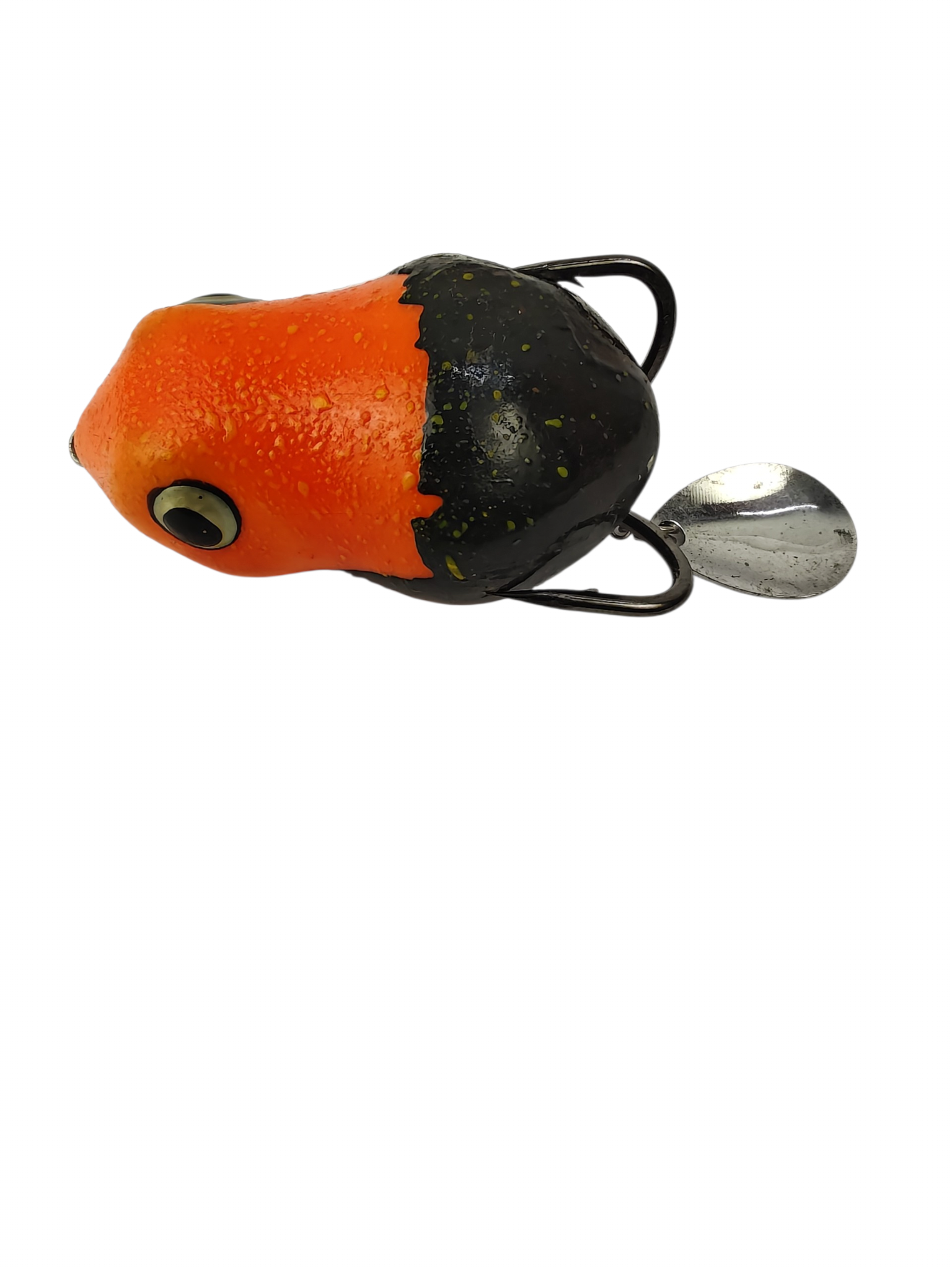 Shimano Beginner Friendly Snake head  Fresh Water Combo 3