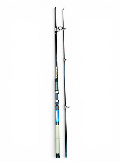 Shakespeare Power 10Ft Spinning Fishing Rod – Fish With Hanish Tackles