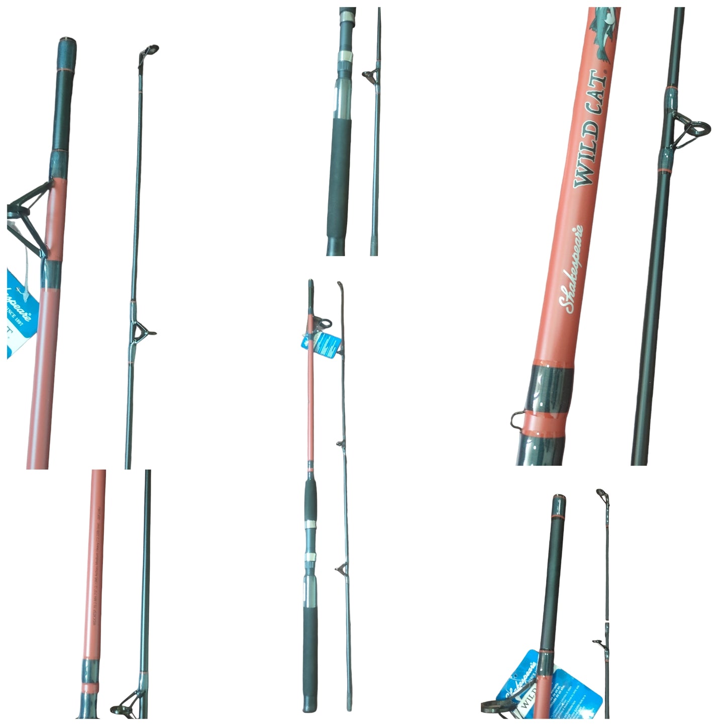 Budget Friendly Saltwater Fishing Combo 8ft Rod 6000 Reel Full Set