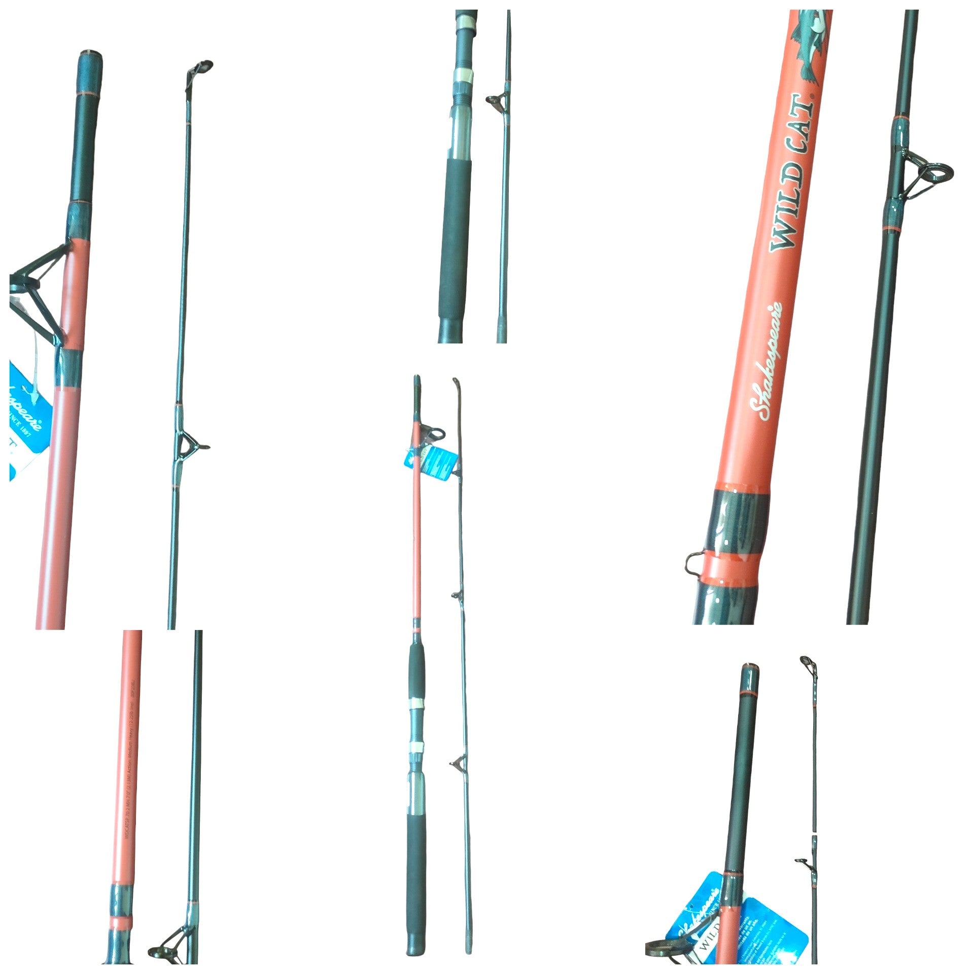 Freshwater And Saltwater Budget Friendly Beginner  Fishing Combo