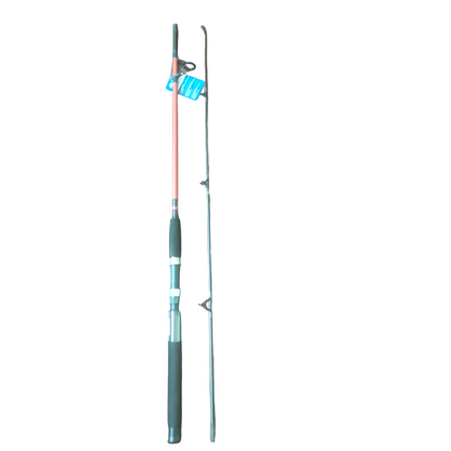 Freshwater And Saltwater Budget Friendly Beginner  Fishing Combo