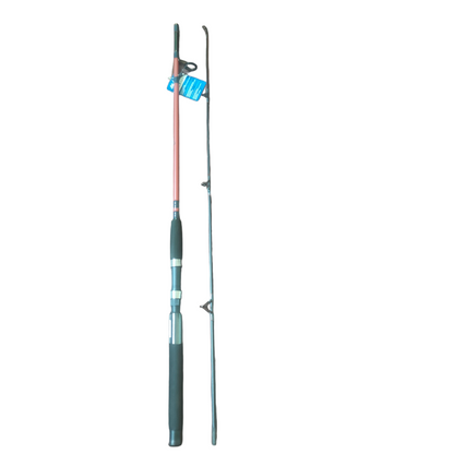 Freshwater And Saltwater Budget Friendly Fishing Combo