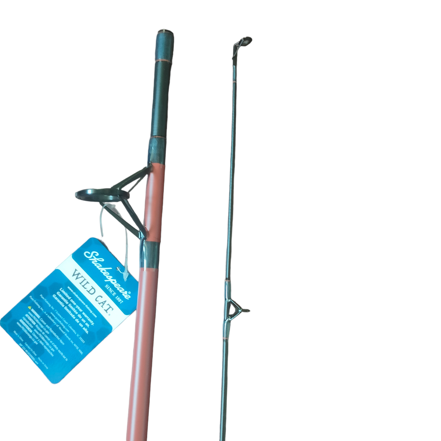 Freshwater And Saltwater Budget Friendly Fishing Combo