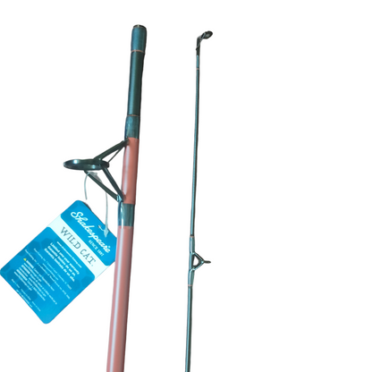 Freshwater And Saltwater Budget Friendly Fishing Combo