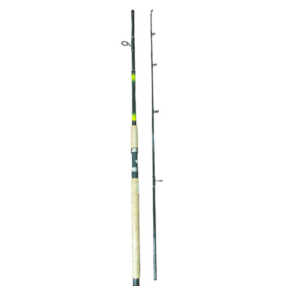 Shakespeare Beta 8Ft Spinning Fishing Rod Best Fishing for Salt Water – Fish With Hanish Tackles