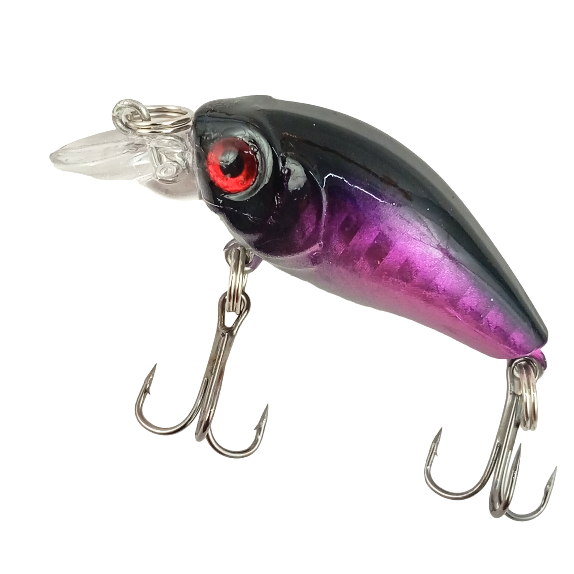 Rainy Season Lures Combo