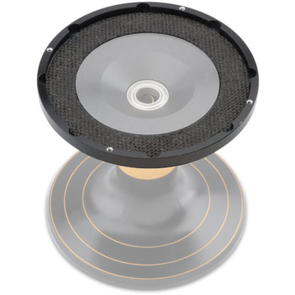 Penn Squall Conventional Reels | SQL30,SQL50