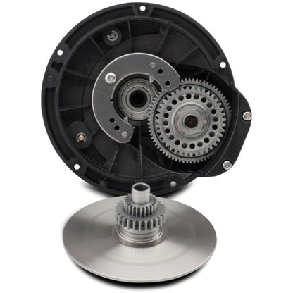 Penn Squall Conventional Reels | SQL30,SQL50